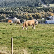 Spechtsbrunn in Thüringen