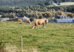 Spechtsbrunn in Thüringen