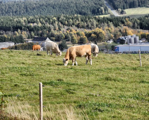 Spechtsbrunn in Thüringen