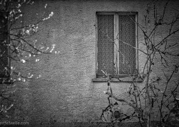 Altes Fenster
