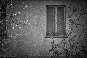 Altes Fenster