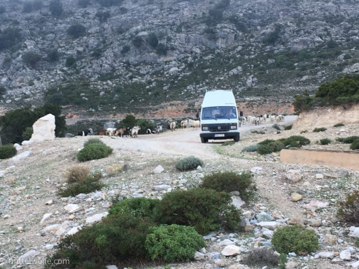 VW-LT-SARDINIEN.jpg