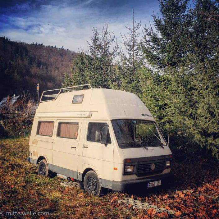 VW_LT_FLORIDA.jpg