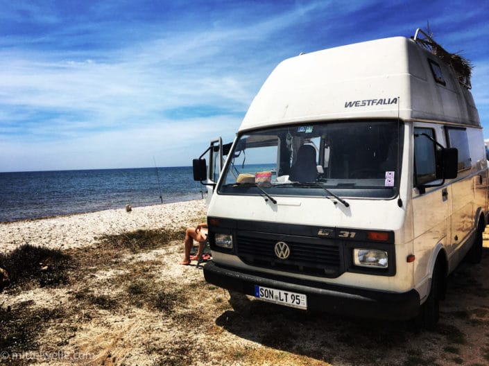 VW_LT_FLORIDA.jpg