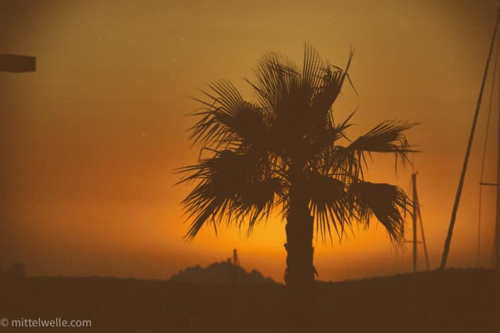 Sardinien_Sonnenuntergang_Palme.jpg